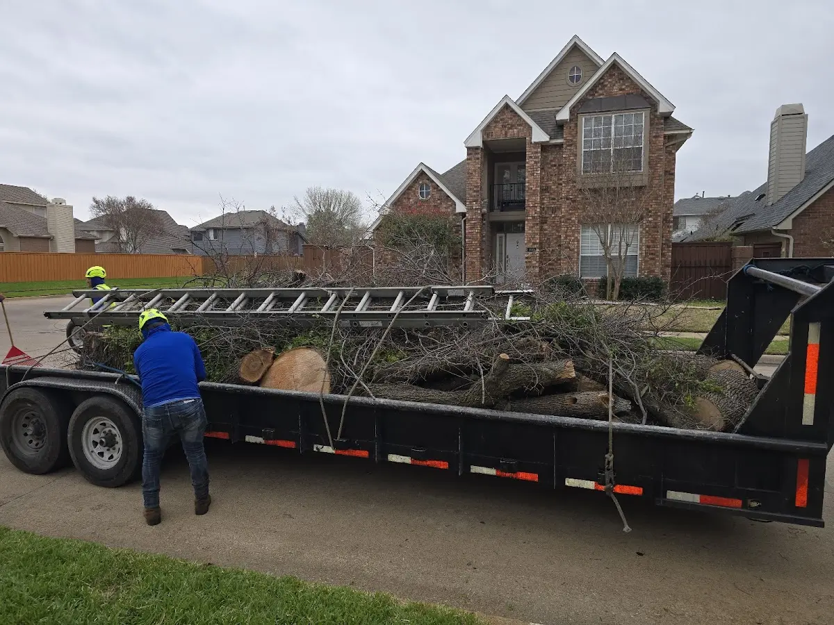 Expert Tree Pest Control with proper safety equipment in Acworth